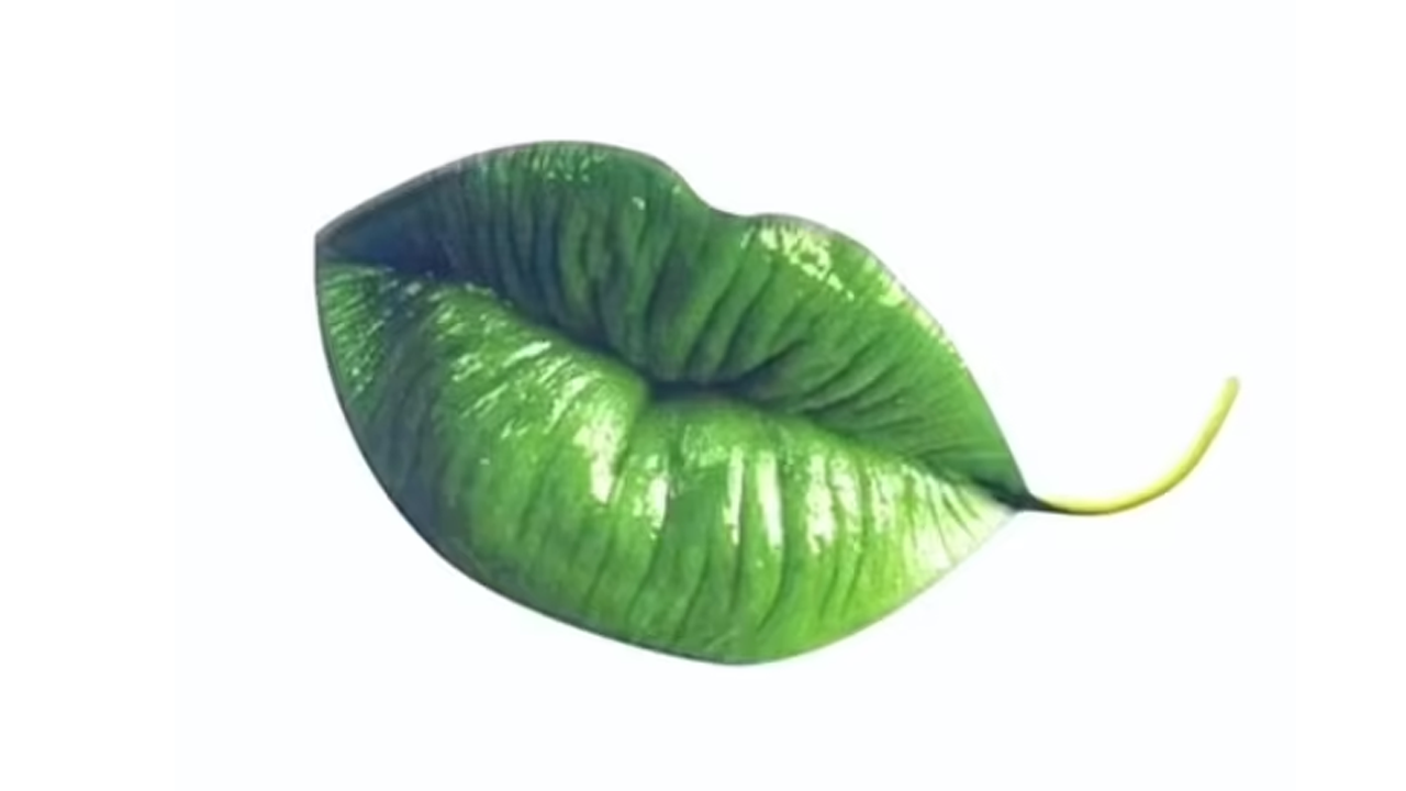 পাতা না ঠোঁট কোনটি আগে দেখলেন, উত্তর মিলিয়ে জেনে নিন আপনার ব্যক্তিত্ব